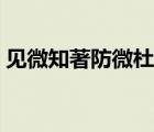見微知著防微杜漸作文（見微知著防微杜漸）