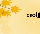 csol血契約（csol血契）