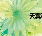 天翼積分兌換商城官網(wǎng)