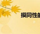 摸同性的臉和頭（同性摸雞）
