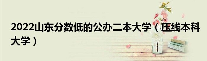 2022山東分?jǐn)?shù)低的公辦二本大學(xué)（壓線本科大學(xué)）