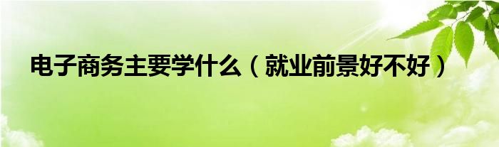 電子商務主要學什么（就業(yè)前景好不好）
