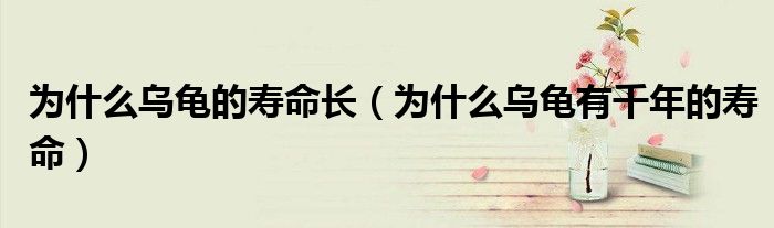 為什么烏龜?shù)膲勖L（為什么烏龜有千年的壽命）