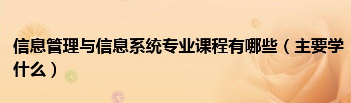 信息管理與信息系統(tǒng)專業(yè)課程有哪些（主要學(xué)什么）