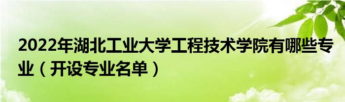 2022年湖北工業(yè)大學(xué)工程技術(shù)學(xué)院有哪些專業(yè)（開設(shè)專業(yè)名單）