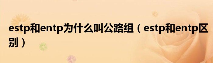 estp和entp為什么叫公路組（estp和entp區(qū)別）