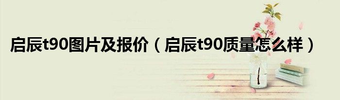啟辰t90圖片及報價（啟辰t90質(zhì)量怎么樣）