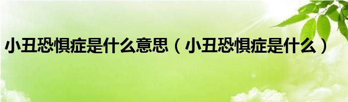 小丑恐懼癥是什么意思（小丑恐懼癥是什么）