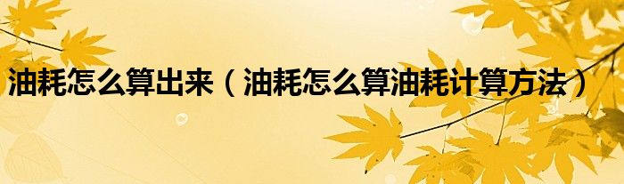 油耗怎么算出來（油耗怎么算油耗計算方法）