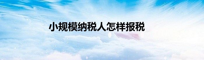 小規(guī)模納稅人怎樣報(bào)稅