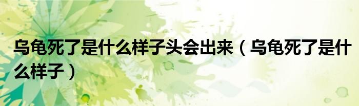烏龜死了是什么樣子頭會(huì)出來(lái)（烏龜死了是什么樣子）