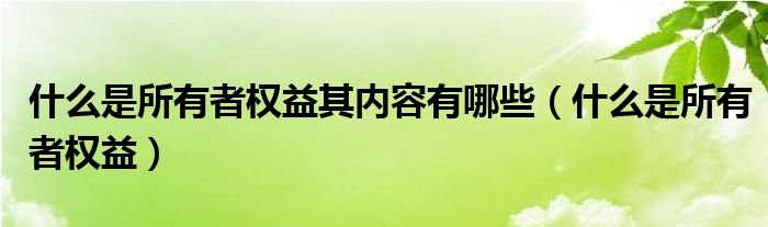 什么是所有者權(quán)益其內(nèi)容有哪些（什么是所有者權(quán)益）
