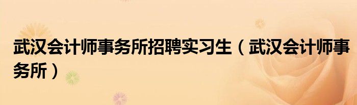 武漢會計(jì)師事務(wù)所招聘實(shí)習(xí)生（武漢會計(jì)師事務(wù)所）