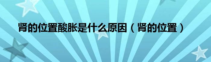 腎的位置酸脹是什么原因（腎的位置）