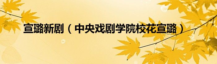 宣璐新?。ㄖ醒霊騽W(xué)院校花宣璐）