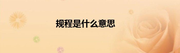 規(guī)程是什么意思