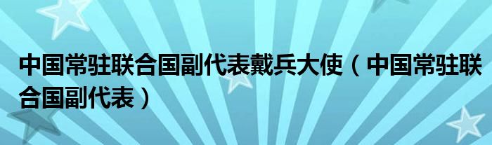 中國常駐聯(lián)合國副代表戴兵大使（中國常駐聯(lián)合國副代表）