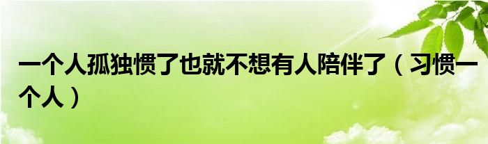一個人孤獨慣了也就不想有人陪伴了（習慣一個人）
