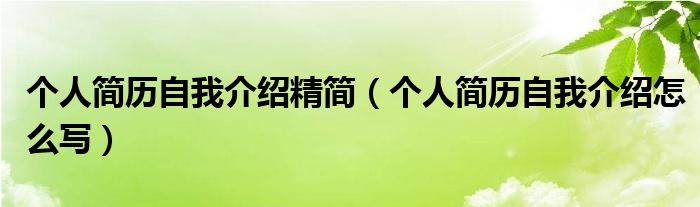 個(gè)人簡(jiǎn)歷自我介紹精簡(jiǎn)（個(gè)人簡(jiǎn)歷自我介紹怎么寫）