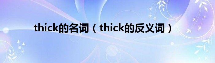 thick的名詞（thick的反義詞）