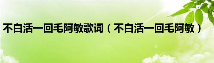 不白活一回毛阿敏歌詞（不白活一回毛阿敏）