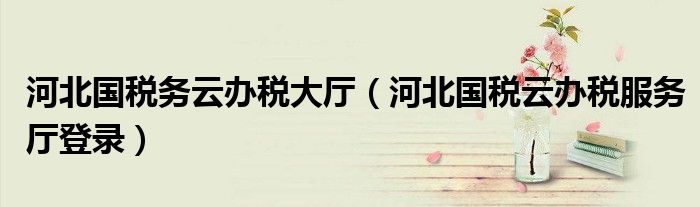 河北國(guó)稅務(wù)云辦稅大廳（河北國(guó)稅云辦稅服務(wù)廳登錄）