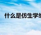 什么是仿生學(xué)舉兩個例子（什么是仿生學(xué)）