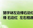 猜字謎左邊綠右邊紅左右相遇起涼風(fēng)是什么字（猜字謎 左邊綠 右邊紅  左右相遇起涼風(fēng)  綠的喜歡及時(shí)雨  紅的最）