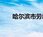 哈爾濱市勞動用工信息備案管理系統(tǒng)