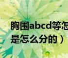 胸圍abcd等怎么分（胸圍分A B C D E F G 是怎么分的）