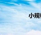 小規(guī)模納稅人怎樣報稅