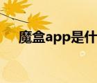 魔盒app是什么東西（app是什么東西）
