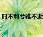 時不利兮騅不逝的上一句（時不利兮騅不逝）