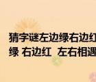 猜字謎左邊綠右邊紅左右相遇起涼風(fēng)是什么字（猜字謎 左邊綠 右邊紅  左右相遇起涼風(fēng)  綠的喜歡及時(shí)雨  紅的最）