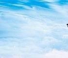 今天股票開市