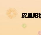 皮里陽(yáng)秋的意思（皮里陽(yáng)秋）