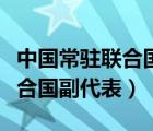 中國常駐聯(lián)合國副代表戴兵大使（中國常駐聯(lián)合國副代表）