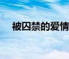 被囚禁的愛情電視劇全集（被囚禁的愛）