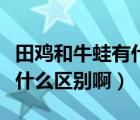 田雞和牛蛙有什么區(qū)別啊視頻（田雞和牛蛙有什么區(qū)別?。?/>
                                    </a>
                                                </div>
                                    <div   id=