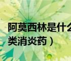 阿莫西林是什么類的消炎藥（阿莫西林屬于哪類消炎藥）