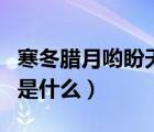 寒冬臘月喲盼天明是什么歌（寒冬臘月反義詞是什么）