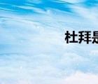杜拜是哪個國的（杜拜）