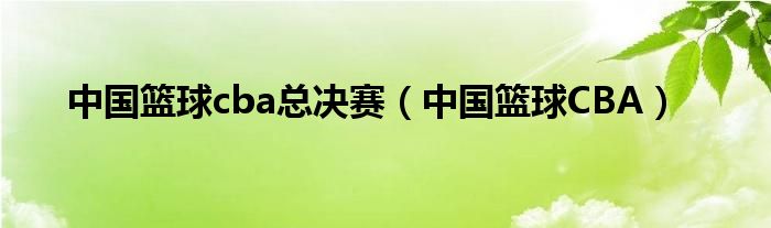中國(guó)籃球cba總決賽（中國(guó)籃球CBA）