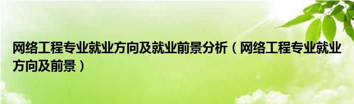 網(wǎng)絡(luò)工程專業(yè)就業(yè)方向及就業(yè)前景分析（網(wǎng)絡(luò)工程專業(yè)就業(yè)方向及前景）