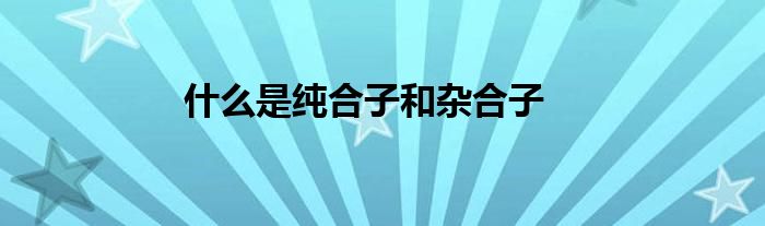 什么是純合子和雜合子