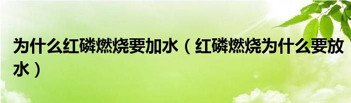 為什么紅磷燃燒要加水（紅磷燃燒為什么要放水）