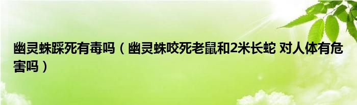 幽靈蛛踩死有毒嗎（幽靈蛛咬死老鼠和2米長(zhǎng)蛇 對(duì)人體有危害嗎）
