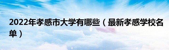 2022年孝感市大學(xué)有哪些（最新孝感學(xué)校名單）