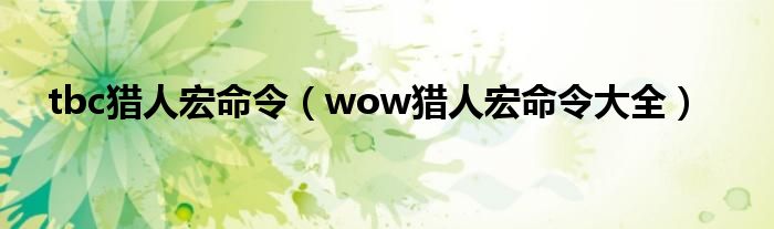 tbc獵人宏命令（wow獵人宏命令大全）