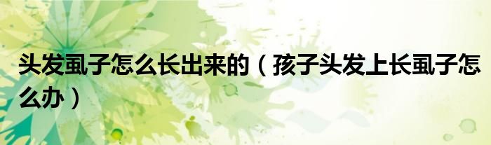 頭發(fā)虱子怎么長出來的（孩子頭發(fā)上長虱子怎么辦）